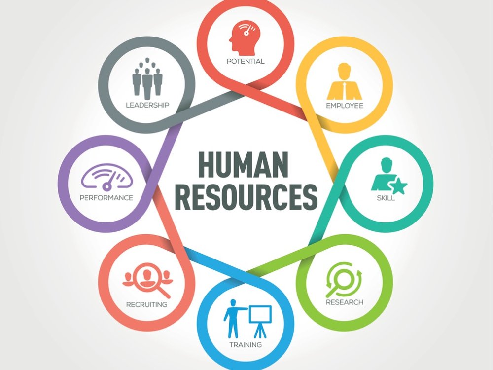 role-of-human-resources-hr-strategy-pinterest